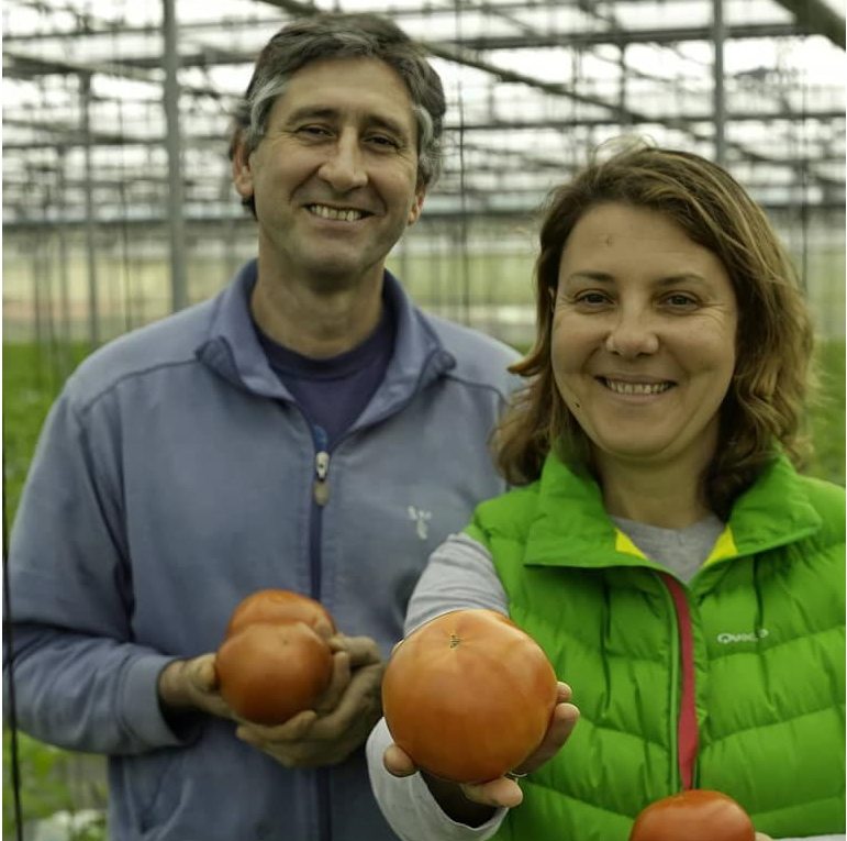 HARVEST: Investigación en reducción del consumo energético en sistemas industriales de cultivo de vegetales para IV gama